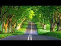 مزمور 19 السموات تحدث بمجد الله