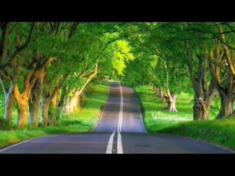 مزمور 19 السموات تحدث بمجد الله