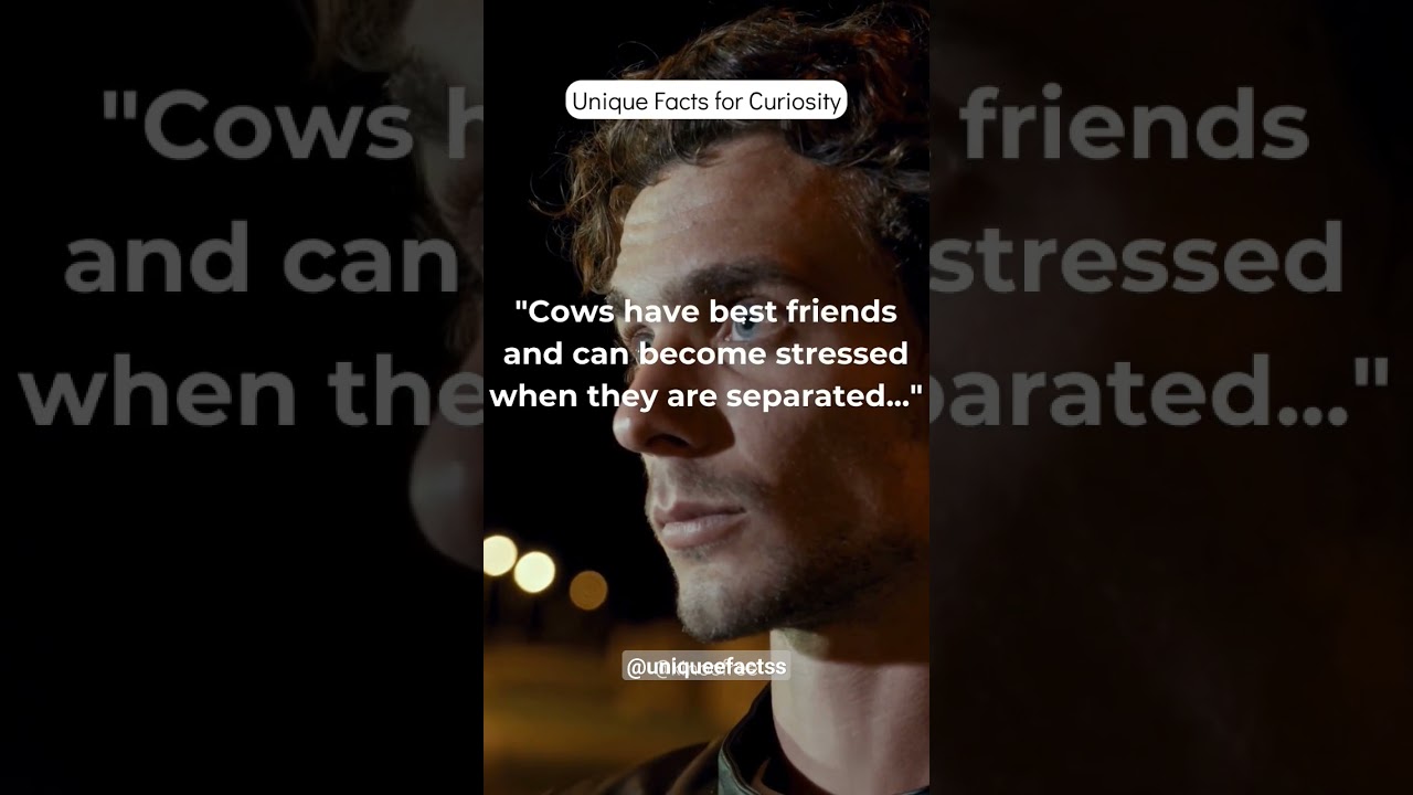 Mind-Blowing Curiosities: 25 Unique Facts You Won't Believe!