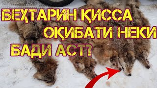 БЕҲТАРИН ҚИССА ОҚИБАТИ НЕКИ БАДИ АСТ?