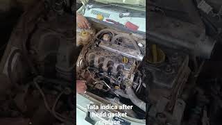 tata indica