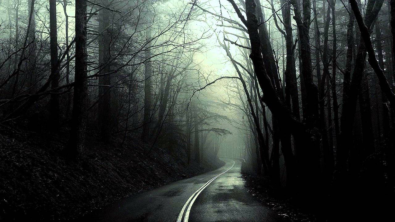 Creepy music piano Dark Forest camera iphone 8 plus apk