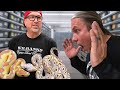 A MAN WITH 4000 SNAKES!!! DAY 3 | BRIAN BARCZYK