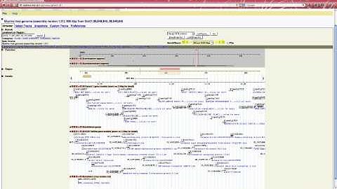 Moving tracks in the SoyBase genome viewer