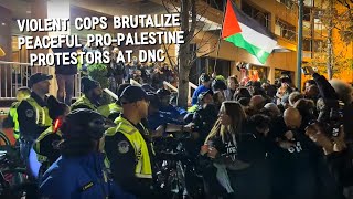 The Media Is Lying To You About What Happened Last Night At The Pro-Palestine Rally In D.C.