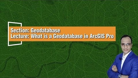 What is a Geodatabase in ArcGIS Pro? | Feature Class vs Shapefile Explained
