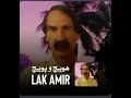 لک امیر هویچ و پویچ