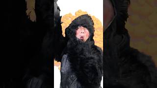 食いしん坊のゴリラぁ!! #まっくん #このゆびとまれ #みっちー #monkey  #funny  #cartoon