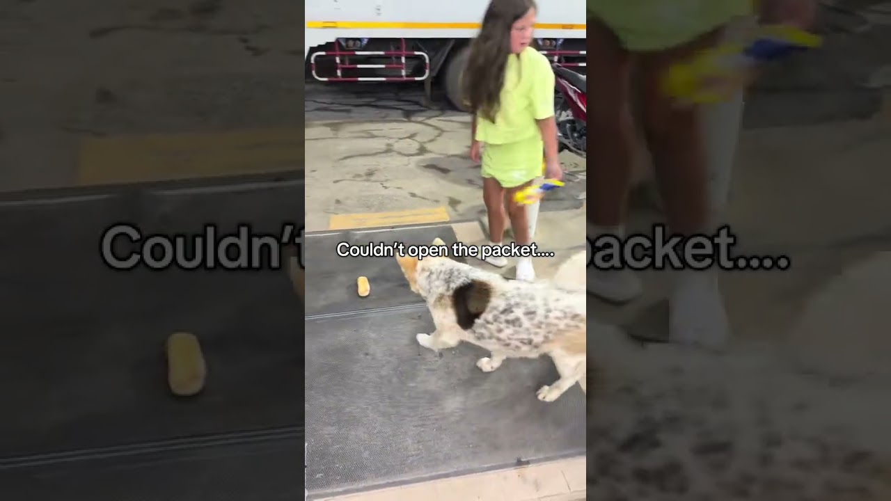 That’s 1 happy 7 eleven stray dog 🐶 grabbing a hot dog 