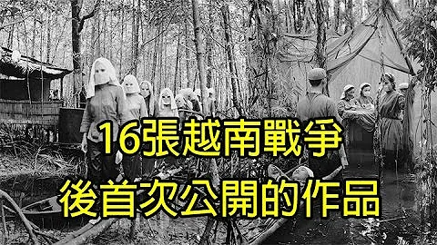 16张越南战争后首次公开的作品 - 天天要闻