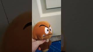 Everyone Is Dumb As Told By Goomba