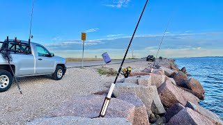 Winter fishing at Texas City Dike pays off (S7 E51) by MDLR Fishing 15,533 views 3 months ago 12 minutes, 4 seconds