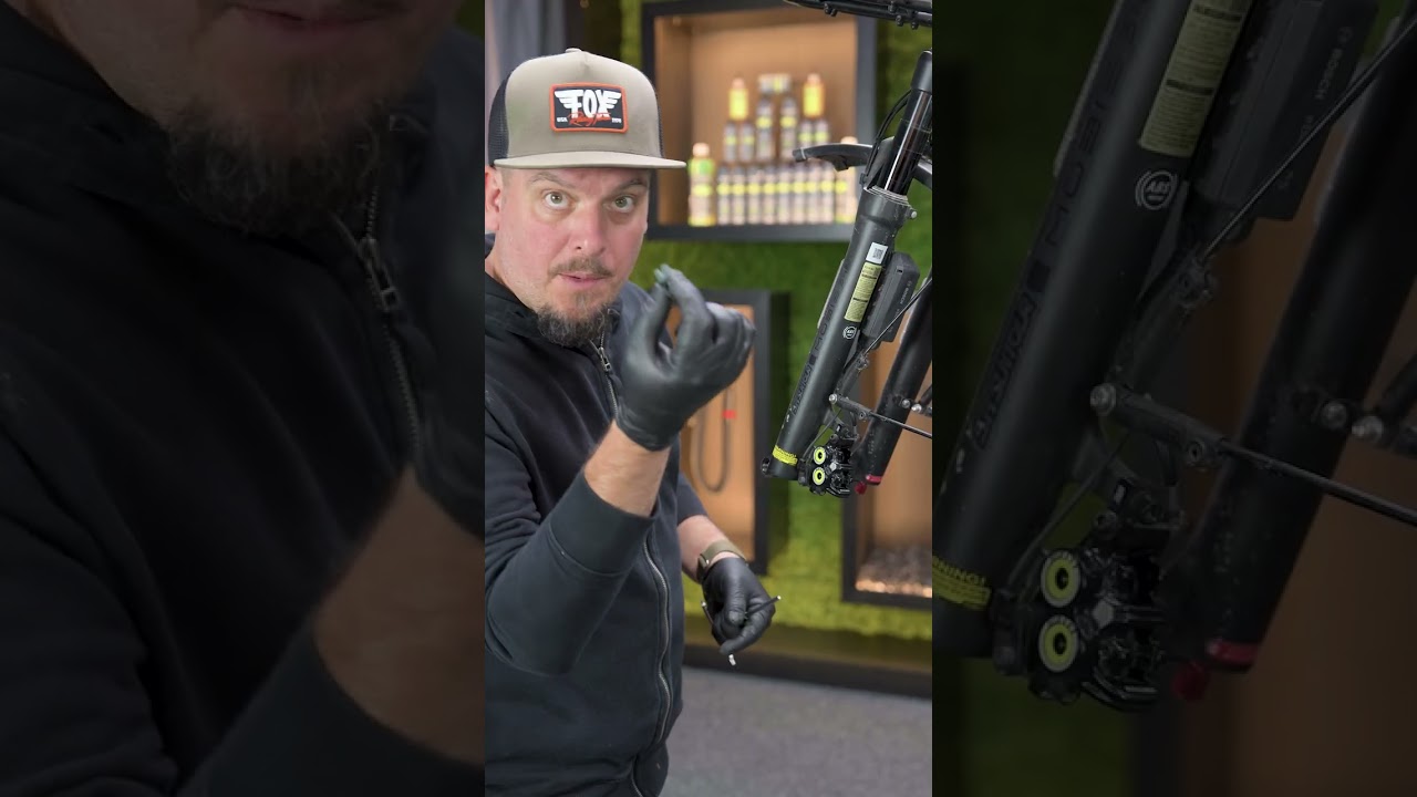 Video abspielen