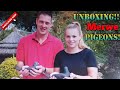 Unboxing Newly Acquired Birds!! Peter Van De Merwe! Superb Birds! Subscribe Now To Join Our Raffle!!