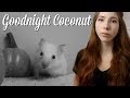 he escaped 😔 | Goodnight Coconut