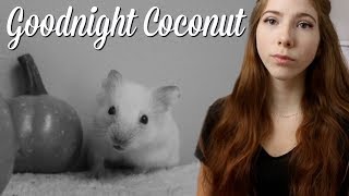 he escaped 😔 | Goodnight Coconut