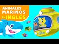 APRENDER INGLÉS  | CLASE DE INGLÉS PARA NIÑOS | ANIMALES MARINOS EN INGLÉS