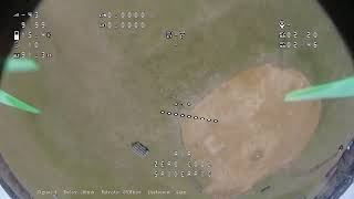 Park Quad Flight Avatar VRX + Skybox Cobra X