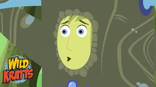 Martin's Creature Power Suit Malfunction | Creature Transformation | Wild Kratts