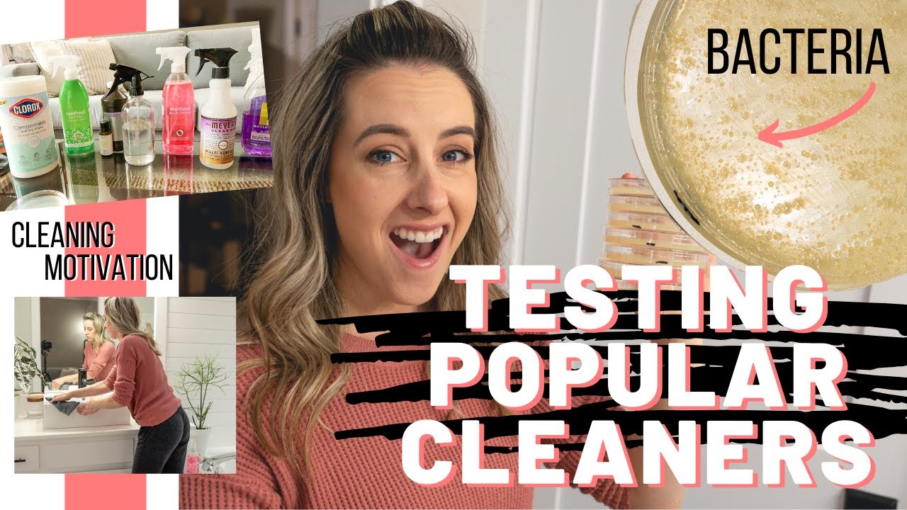 TESTING POPULAR CLEANERS AGAINST BACTERIA CLEAN WITH ME YouTube