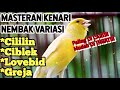 Masteran Kenari Nembak Cililin Ciblek Lovebird Greja Mp3 - Mp4 Download