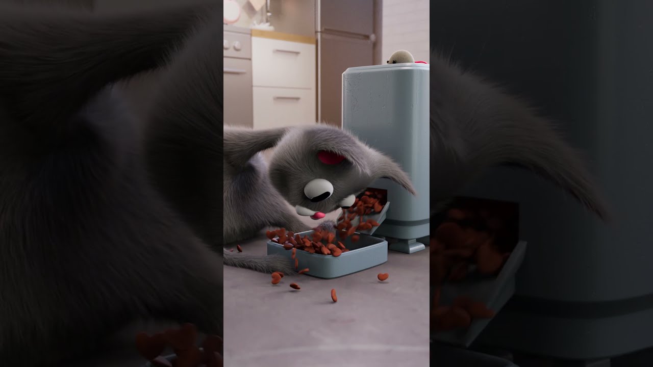 Thank You For 1 MILLION GIMME SNACK Cat Animation