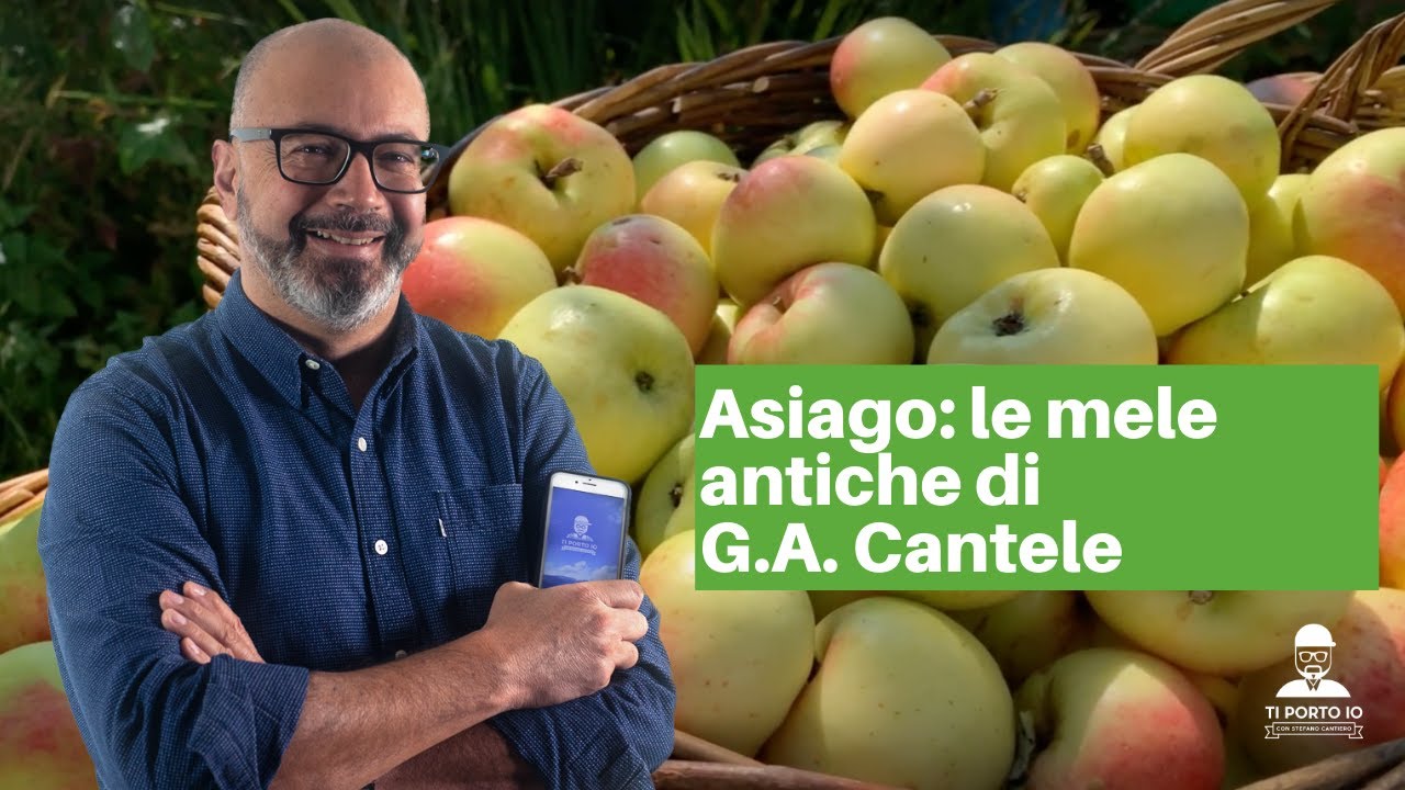 Asiago (Vicenza): le Mele Antiche di Antonio Cantele