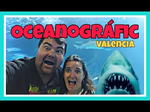 Que hacer en VALENCIA: OCEANOGRAFIC, el ACUARIO MÁS GRANDE de EUROPA ¿Qué merece la pena ver en el Oceanogràfic de Valencia? 2025