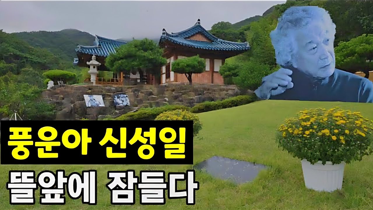 풍운아 신성일 ♧ 결국 집뜰에 영면하다