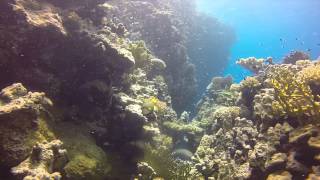 Southern Red Sea August 2015 Director's Cut
