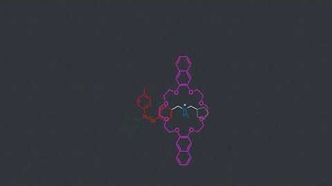 Leap animation formulas 2