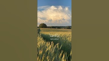 عبد الرحمن مسعد| سورة التوبة