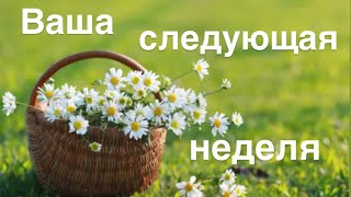 Ваша следующая неделя 15-21 июня💚👒🐸🪲☘️☀️
