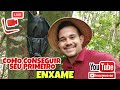 Como CONSEGUIR seu PRIMEIRO ENXAME (Live Esquenta 1) 🐝