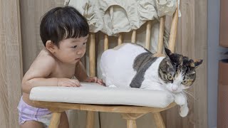 Is it okay to raise a baby and a cat together? by 슈앤트리 SHU AND TREE 19,485 views 6 months ago 2 minutes, 50 seconds