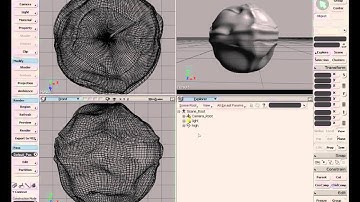 Rendering: Introduction