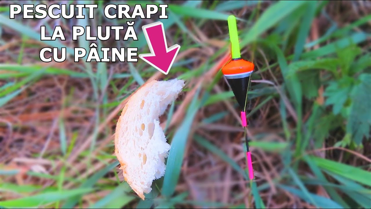 Pescuit cu DRILURI si TRASATURI Frumoase La PLUTA cu PAINE la Balta Ben, 7 Aprilie 2025