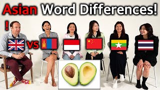 British Translator Shocked By Asian Word Differences! Thailand, Mongolia, Indonesia, China, Myanmar