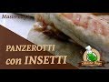 Panzerotti di insetti ricetta di masterbug 