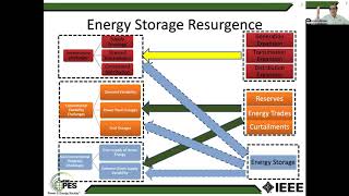 Integration of Large Scale Energy Storage into Electricity Markets
