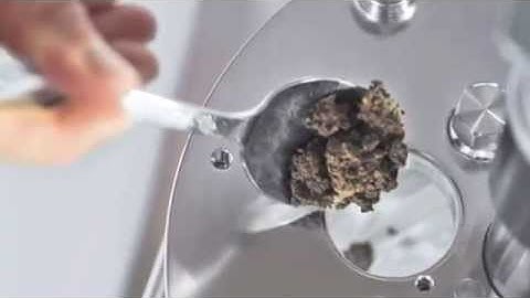 Infors Labfors 5 BioEtOH Bioreaktor