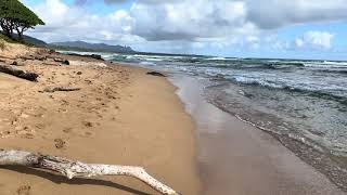 A Walk on a Hawaiian Beach