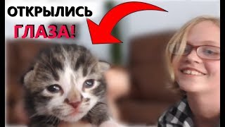 ВЛОГ в школе НЕОБЫЧНЫЙ УРОК у КОЛИ и ВЫСТУПЛЕНИЕ ЛИЗЫ/ У КОТЯТ открылись глаза! Американская школа