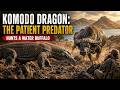 KOMODO DRAGON: THE PATIENT PREDATOR – Part 1