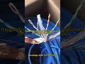 Cat6 Oxygen free Copper Network Cable Unshielded Twisted Pair Cable 305 meters