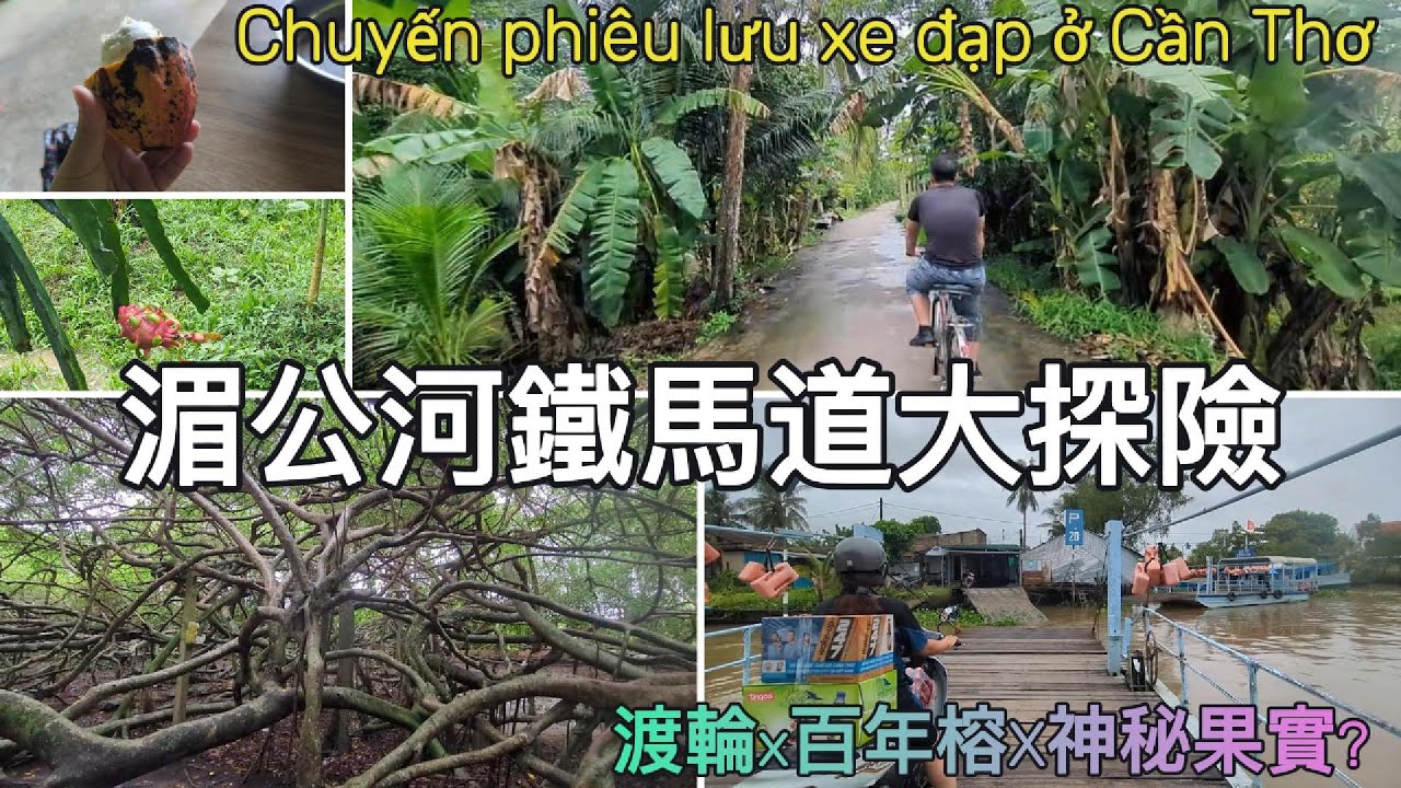 湄公河鄉村自行車大探索全記錄🚴⛴️🌊－百年榕遺跡秘境🌳、可可夜總會🍫 Hành trình khám phá làng quê sông Mê Kông Cần Thơ bằng xe đạp