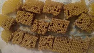 Bienen Maden kochen - Der leckere Snack für zwischendurch