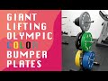 Giant Lifting Color Olympic Bumper Plates