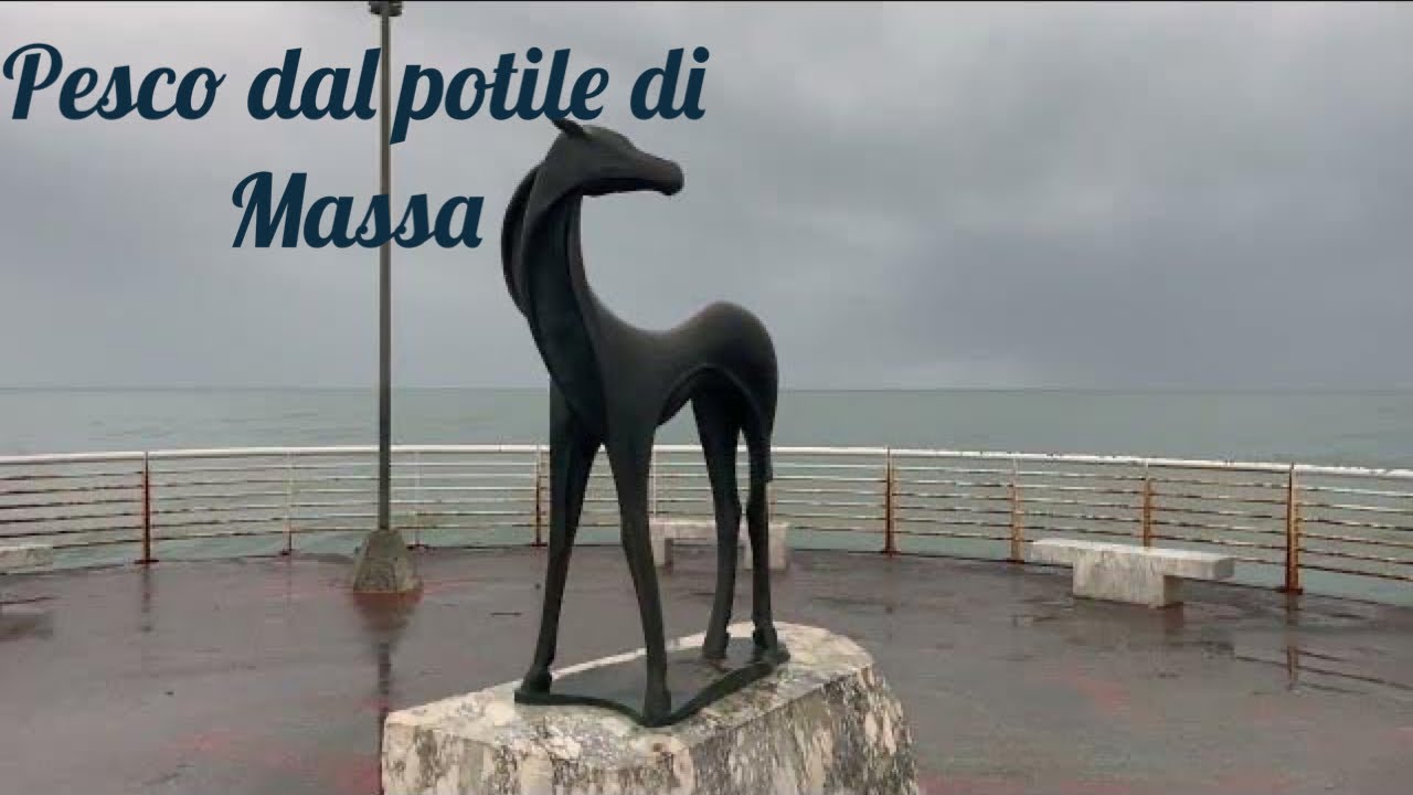 Primi pesci del 2023/Pesca dal Pontile