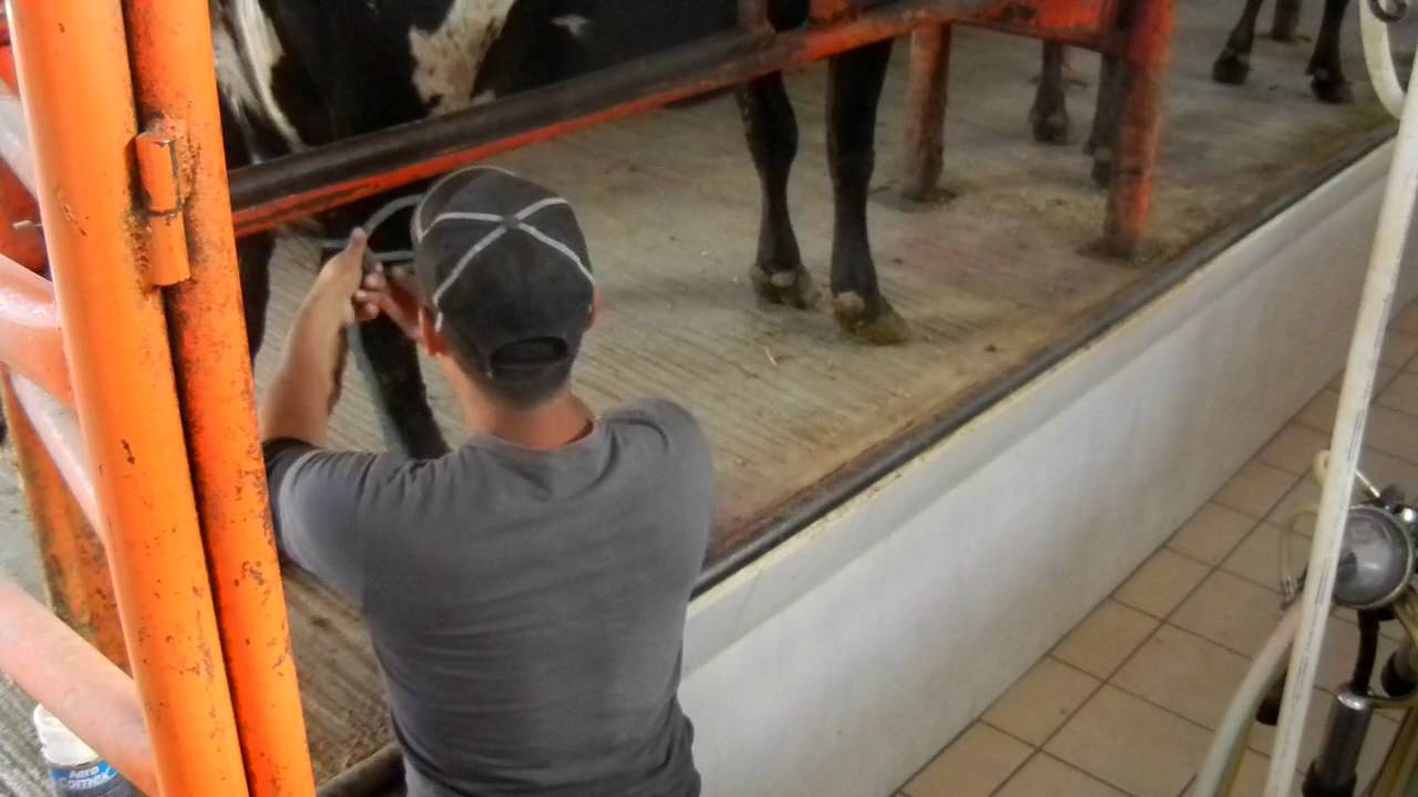 1058._HECHO EN STA. MA. DE ENMEDIO, JAL. SALA DE ORDEÑA